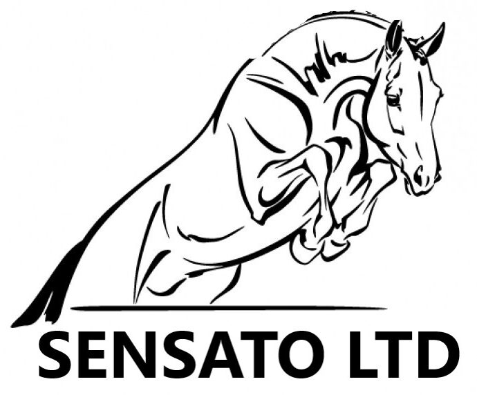 Sensato Ltd